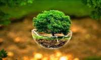 ارزش آب و طبیعت