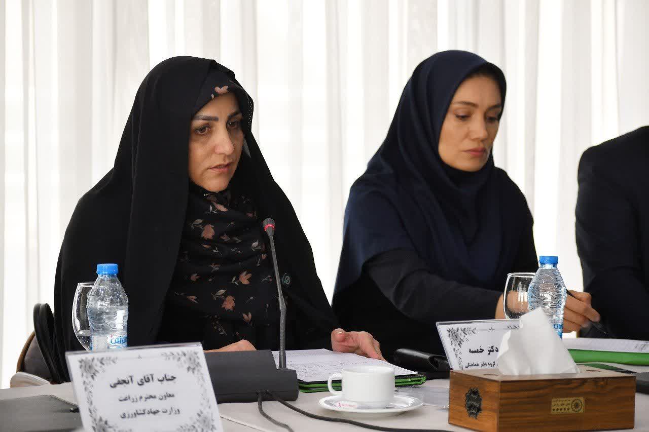 مطالبات گندمکاران تا پایان شهریور پرداخت می‌شود/ تأکید بر هوشمندسازی کشاورزی